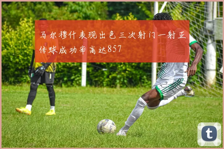 马尔穆什表现出色三次射门一射正传球成功率高达857